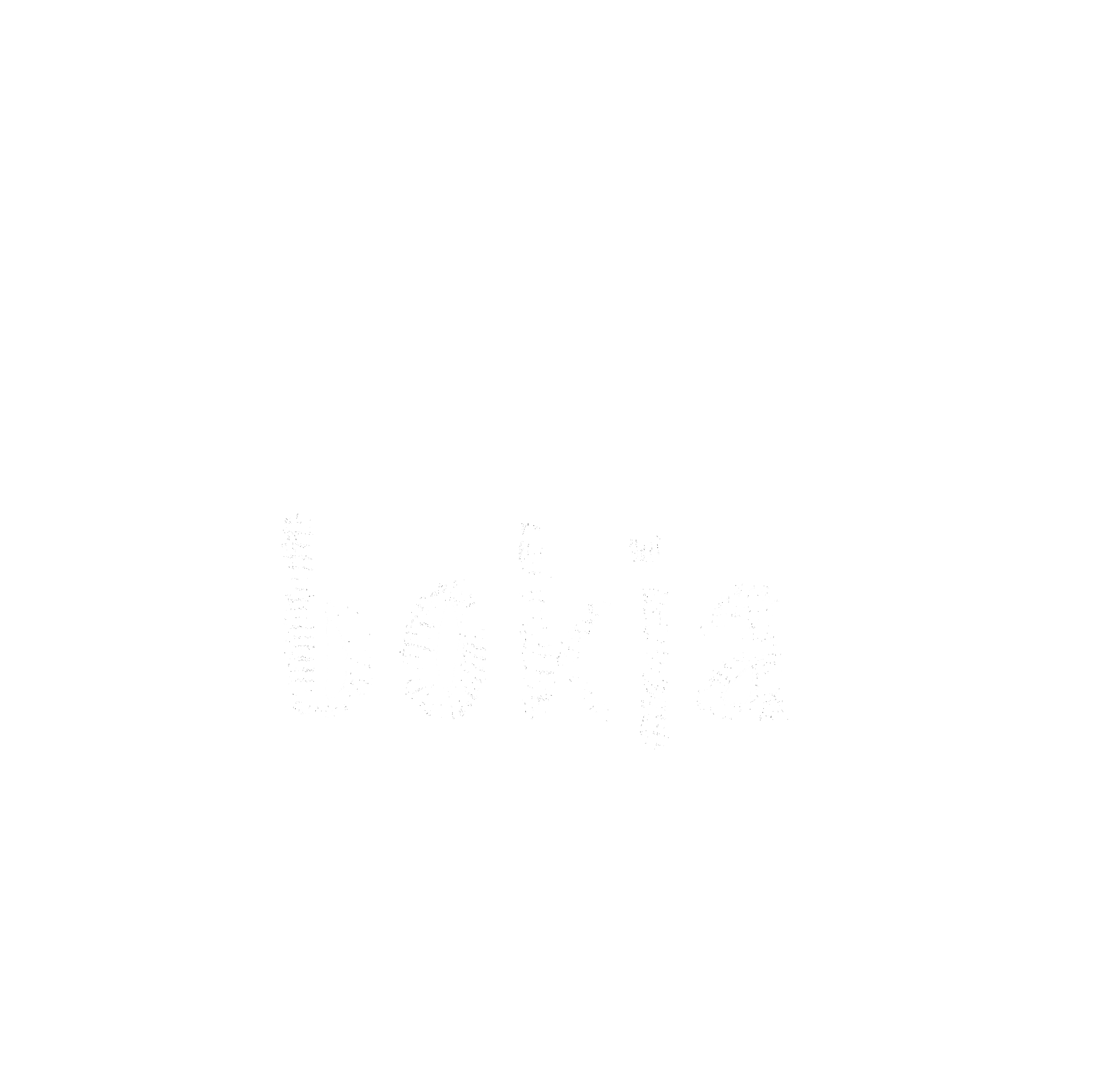 Decorative black-and-white logo with two crown-topped snowflake branches and the bold word 'bokia' beneath, on a black background.